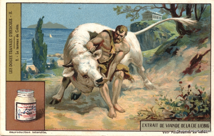 liebher2.2.jpg - liebher2.2: Eurystheus ordered to bring the Cretan Bull. Heracles then came to Crete, caught the Cretan Bull and brought it to Eurystheus, who just let it go again. The beast then, having first roamed to Sparta and Arcadia, traversed the Isthmus of Corinth and arrived at Marathon in Attica, where it pestered the inhabitants all it could. Liebig sets.