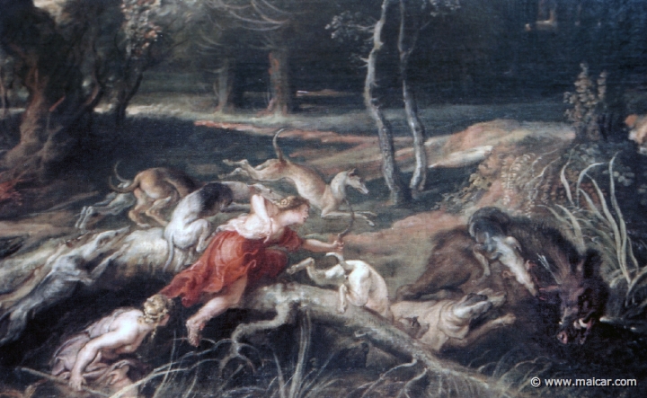 9812.jpg - 9812: Peter Paul Rubens 1577-1640: Atalanta, Meleagro cazando el jabalí de Calidonia (detalle). Museo Nacional del Prado, Madrid.