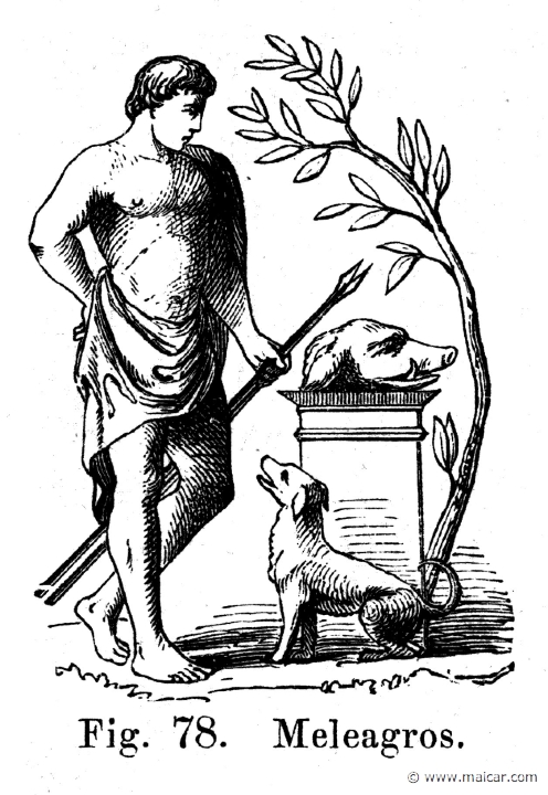 pet214.jpg - pet214: Meleager. A. H. Petiscus, Olympen eller grekernes och romarnes mytologi (1872).