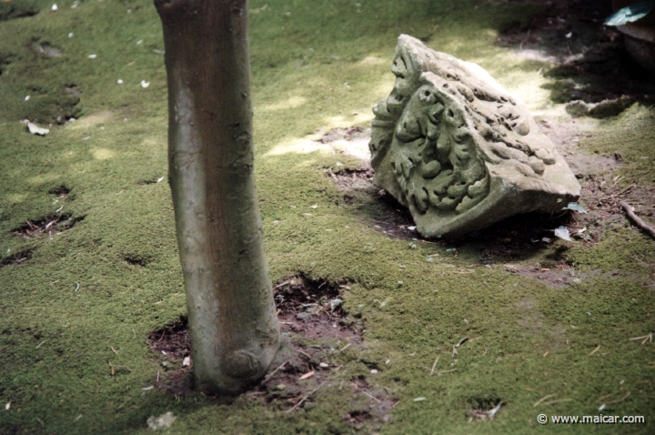 7514.jpg - 7514: Moss, fragment of decoration, and stem of tree. Axel Munthe's Villa San Michele, Capri.