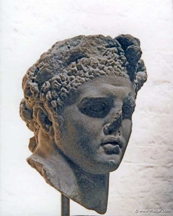 0202.jpg - 0202 Kopf des Herakles. Kopie nach einer Statue des 2. Jahrhunderts v. Chr. Glyptothek, München.