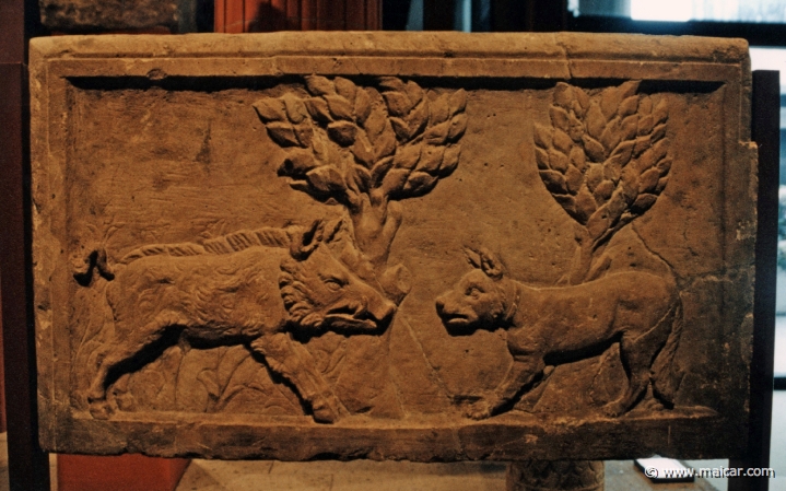 1035.jpg - 1035: Relief med Eber und Hund. Diogenes 323 v. Kr. Römisch-Germanischer Museum, Köln.