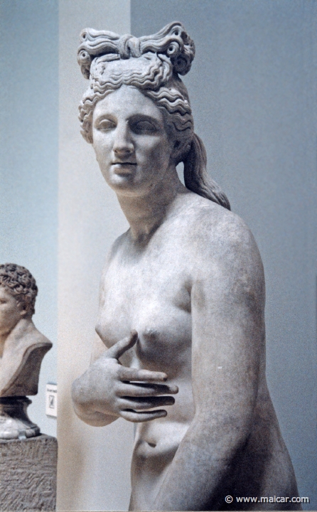 8413.jpg - 8413: Marble Venus of the Capitoline type. Roman copy c. AD 100-150. British Museum, London.