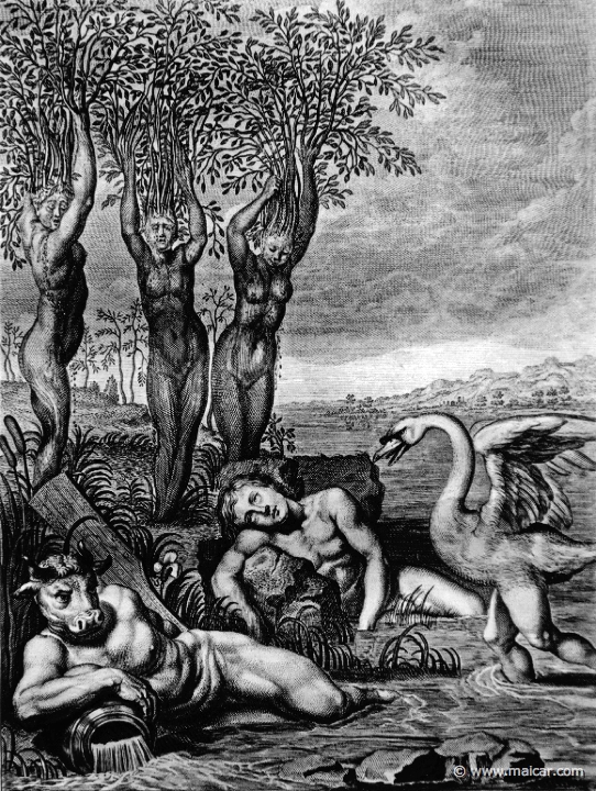 8603.jpg - 8603: Cygnus transformed to a swan and Phaeton’s sisters into poplars. Bernard Picart (1673-1733), Fabeln der Alten (Musen-Tempel), 1754.