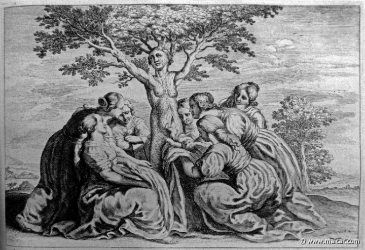 2738.jpg - 2738: Birth of Adonis. Les METAMORPHOSES D’OVIDE EN LATIN ET FRANÇOIS, DIVISÉES EN XV LIVRES. TRADUCTION DE Mr. PIERRE DU-RYER PARISIEN, DE L’ACADEMIE FRANÇOISE. MDCLXXVII.