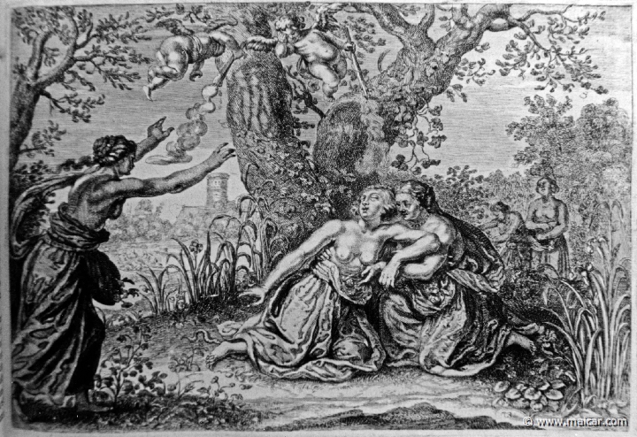 2731.jpg - 2731: Eurydice bitten by a snake. Les METAMORPHOSES D’OVIDE EN LATIN ET FRANÇOIS, DIVISÉES EN XV LIVRES. TRADUCTION DE Mr. PIERRE DU-RYER PARISIEN, DE L’ACADEMIE FRANÇOISE. MDCLXXVII.