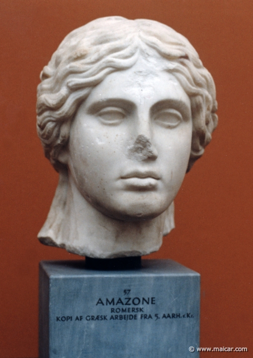 1610.jpg - 1610: Amazon. Roman copy of Greek work from 5C BC. Ny Carlsberg Glyptotek, Copenhagen.