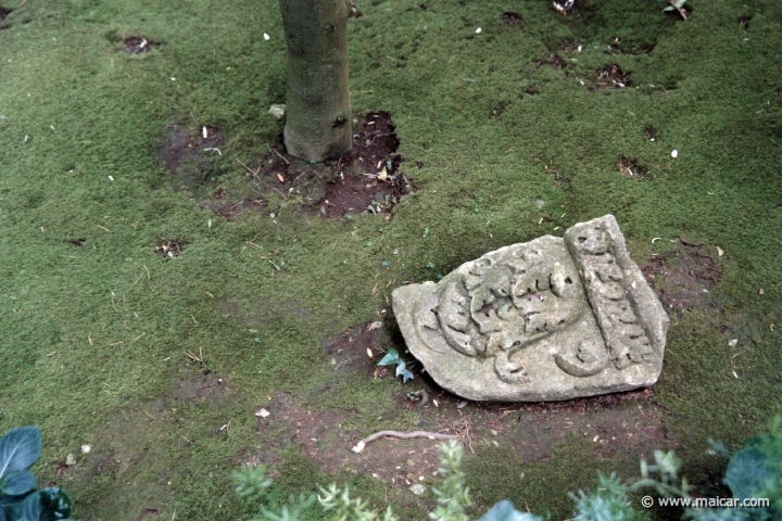 7517.jpg - 7517: Moss, fragment of decoration, and stem of tree. Axel Munthe's Villa San Michele, Capri.