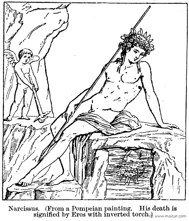 smi389.jpg - smi389: Narcissus.